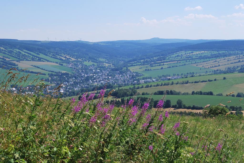 Familien-Ferienwohnung Haustein Konigswalde Ruang foto